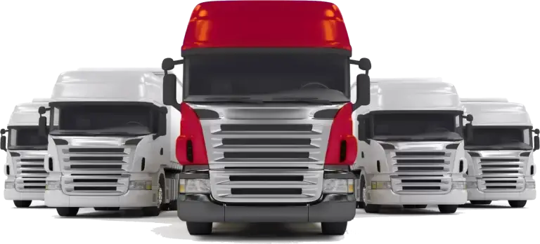 International Movers Malaysia