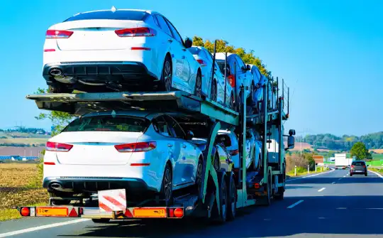 Custom-Built Solutions for RORO & Container Shipping