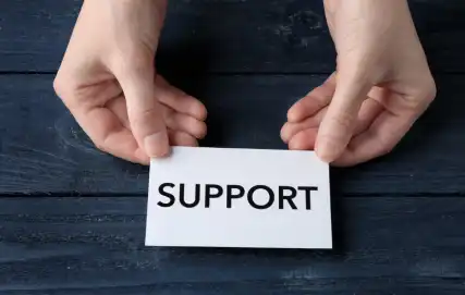 Advance Ruling Support