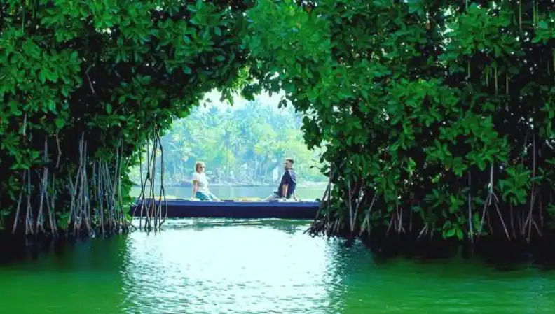 Nearby Attractions: Places to Visit in Kochi