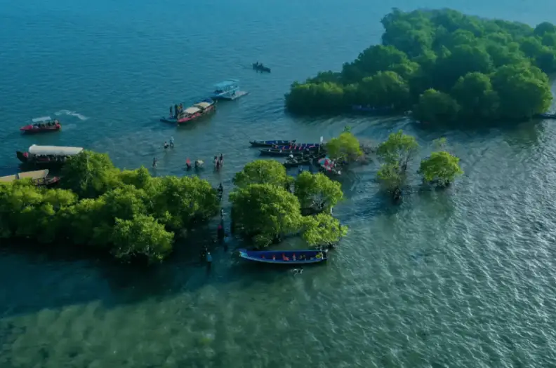 From Ashtamudi to Munroe Island and Sambranikodi: The Ultimate Kollam Boating Circuit 