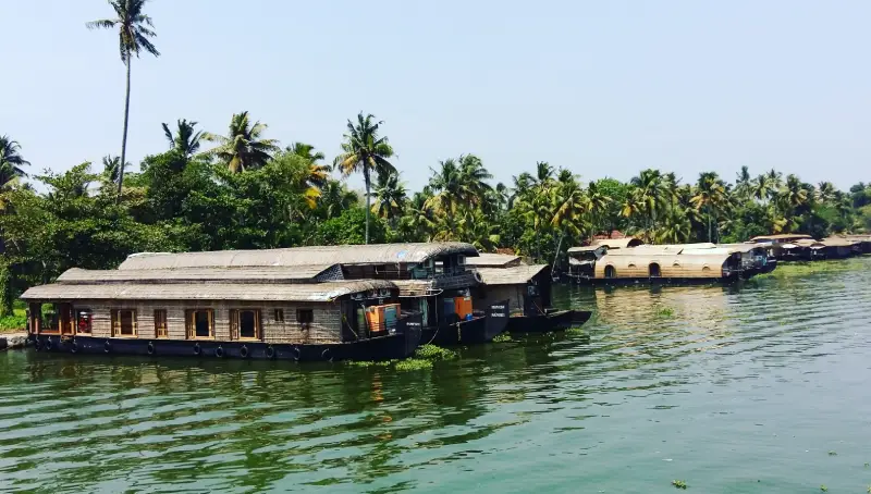 Best Time to Visit Kerala for a Houseboat Trip